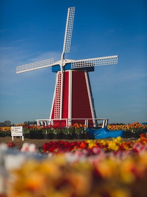 Holanda